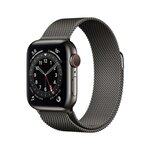 Apple Watch Series 6 GPS + Cellular, 40mm Boîtier en Acier Inoxidable Graphite avec Bracelet Milanais Graphite