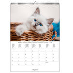 Calendrier Mural 2025 Décoration 29x39 Cm - Chats - Draeger paris