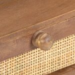 vidaXL Table basse 100x60x40 cm Bois de manguier massif