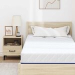 vidaXL Matelas Blanc  bleu 90 x 190 cm Mousse