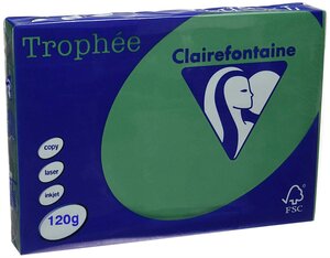 Ramette 250 Feuilles Papier 120g A4 210x297 mm vert sapin CLAIREFONTAINE