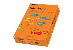 papier universel 'Rainbow', A4, vert vif, 160g, 500f PAPYRUS