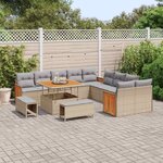 vidaXL Ensemble de canapé de jardin 13 Pièces Beige et Gris clair