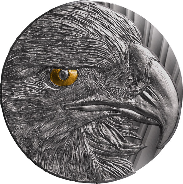 Pièce de monnaie en Argent g 15 Millésime 2023 PREDATOR OF THE SKY