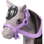 Mattel HTK29 - Barbie Chelsea et son Poney