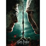 HARRY POTTER Puzzle 200 pieces XXL - Harry Potter vs Voldemort - Ravensburger - Puzzle Enfant 200 pieces - Des 8 ans