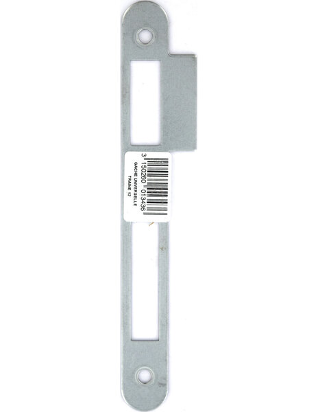 THIRARD - Gâche universelle pour serrure à encastrer  zinguée à bouts ronds  traine 1.2cm  hauteur 170mm -  THIRARD