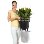 LECHUZA Jardinière Classico 35 LS ALL-IN-ONE Blanc brillant 16060