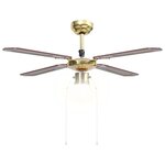 vidaXL Ventilateur de plafond avec lampe 106 cm Marron