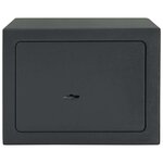 vidaXL Coffre-fort Gris foncé RAL7016 17 x 23 x 17 cm Acier