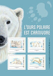Collector 4 timbres - Ours polaires - Lettre Verte