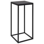 vidaXL Tables d'appoint 2 Pièces Noir Acier