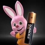 DURACELL PLUS Piles AAA x20