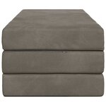 vidaXL Canapé-lit pliable 160 x 67 x 45 cm Gris clair