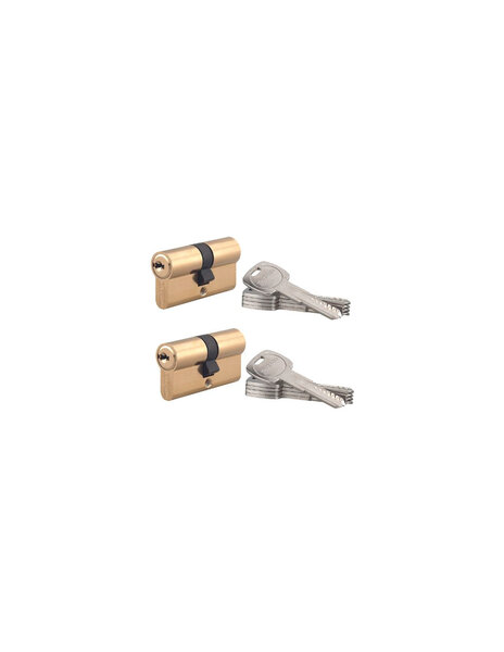 THIRARD - Lot de 2 cylindres de serrure double entrée Trafic 6  30x30mm  s'entrouvrant  laiton 5 clés/cylindre