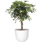 ARTEVASI - Pot havana natural 30cm granite 30 x 30 x h24,9 cm - 0,91l