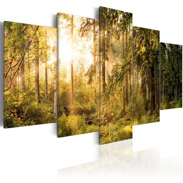 Tableau - magic of forest l x h en cm 200x100