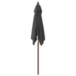 vidaXL Parasol de jardin avec mât en bois anthracite 198x198x231 cm