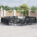 vidaXL Ensemble de canapé de jardin 13 Pièces Anthracite Acier