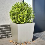 vidaXL Jardinières 2 Pièces 50x50x50 cm acier inoxydable