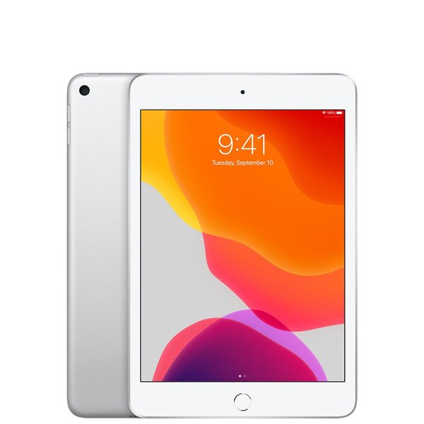 iPad mini 5 (2019) - 64 Go - Argent - Très bon état