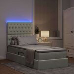 vidaXL Lit avec rangement et LED Gris clair 100 x 200 cm Velours