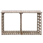 vidaXL Abri de stockage du bois de chauffage 300x90x176cm Pin imprégné