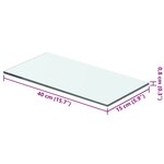 vidaXL Panneau d’étagère Verre transparent 40 x 15 cm