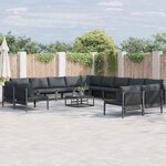 vidaXL Ensemble de canapé de jardin 14 Pièces Anthracite Acier