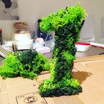Mousse d'Islande Vert clair 100 g