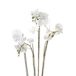 Emerald Phalaenopsis artificiel avec mousse Blanc 90 cm 20.355