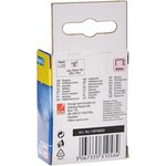 Boîte de 5000 Agrafes Bébé cuivrées (11974602) RAPID