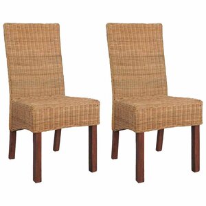 vidaXL Chaises à manger lot de 2 marron rotin naturel