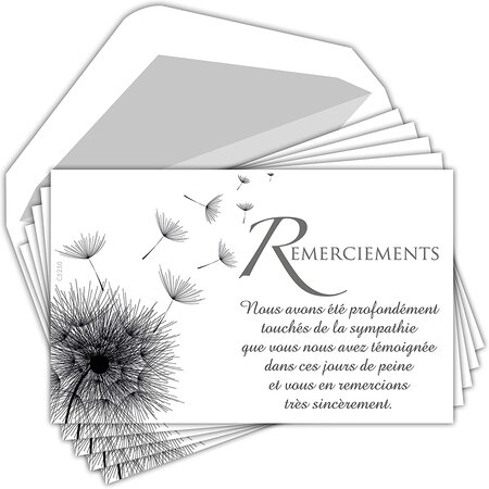 Lot 5 cartes remerciements condoléances +5 enveloppes blanches format 9x14cm