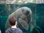 SMARTBOX - Coffret Cadeau Journée fascinante au Parc Zoologique de Paris pour 2 adultes -  Sport & Aventure