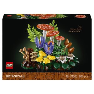 11505 Les champignons des bois ® Botanicals