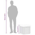 Keter Pouf de rangement Cube avec coussin Graphite