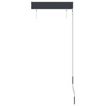 vidaXL Store roulant d'extérieur 60 x 250 cm Anthracite