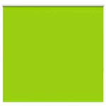 vidaXL Store enrouleur occultant largeur du tissu 161 6 cm polyester