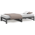 vidaXL Lit coulissant sans matelas gris 2x(100x200) cm