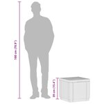 Keter Pouf de rangement Cube Cappuccino 228749