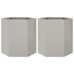 vidaXL Jardinières 2 Pièces hexagone 46x40x45 cm acier inoxydable