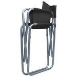 vidaXL Chaises de metteur en scène 2 Pièces Acier Noir