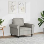 vidaXL Fauteuil Gris clair 60 cm Velours