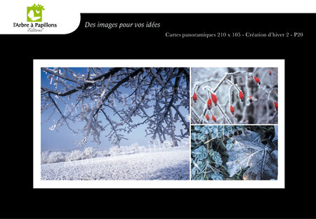 Carte panoramique - hiver