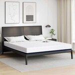 vidaXL Matelas Blanc  bleu 200 x 200 cm Mousse