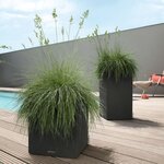 LECHUZA Jardinière CANTO Stone 30 High ALL-IN-ONE Noir graphite