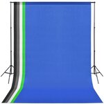 vidaXL Kit de studio photo avec toile de fond et boîte à lumière