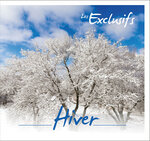 Collector 4 timbres - Les Exclusifs - Hiver - Lettre Verte