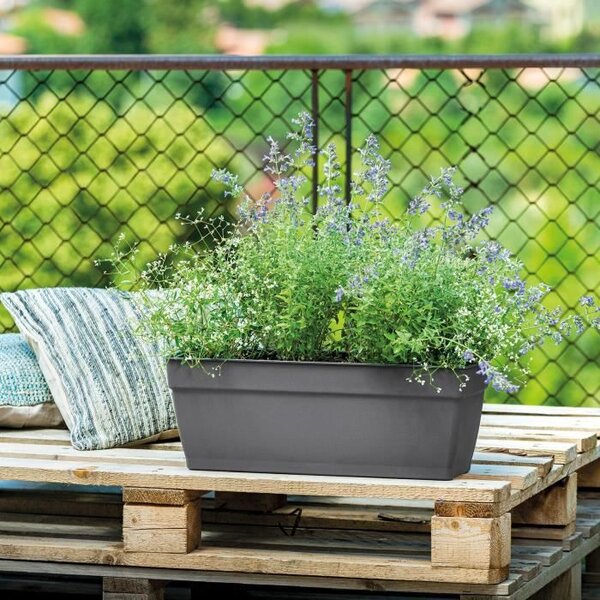 DEROMA Jardiniere Ninfea R anthracite a réserve d'eau - Coloris gris anthracite - 60cm